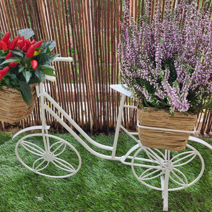 Vélo décoratif avec plantes